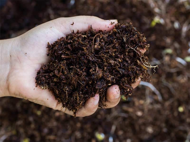 Organic Fertilizers 3